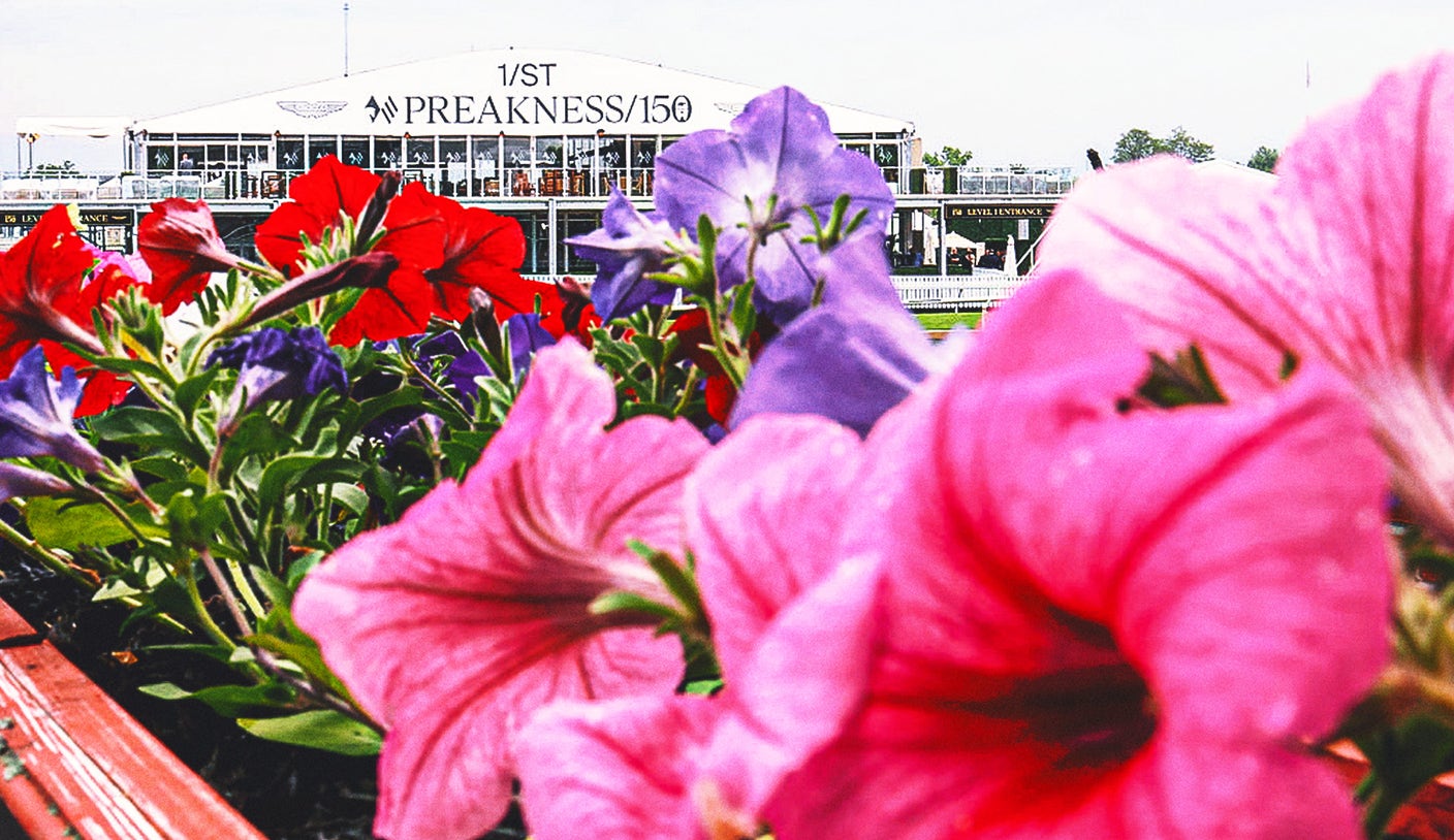 2025 Preakness Stakes: Clever Again Attracts Sharp Money 2025 Preakness Stakes: Clever Again Attracts Sharp Money