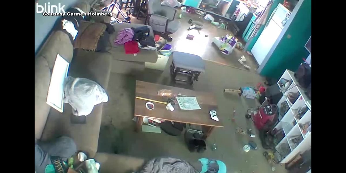 Alaska Earthquake: 7.3 Magnitude Quake Triggers Tsunami Warning, Then Cancellation Alaska Earthquake: 7.3 Magnitude Quake Triggers Tsunami Warning, Then Cancellation
