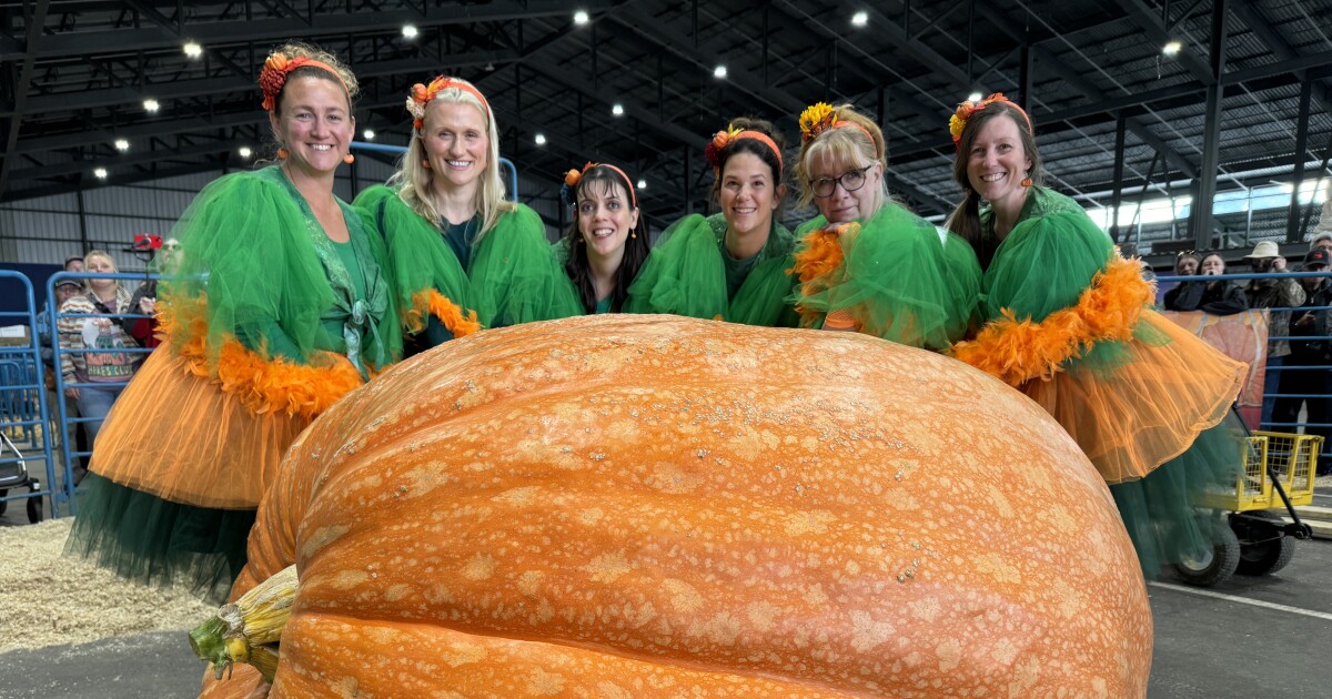 Anchorage Weekender: Alaska State Fair & 8+ Local Events