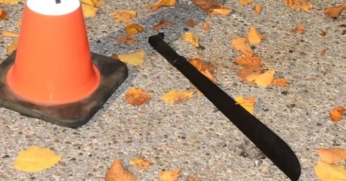 Australian State Implements Machete Amnesty Program To Prevent Future Violations