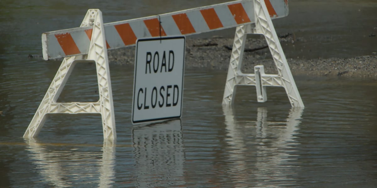 Avoid Charleston Road Closures: Free Parking & City Updates