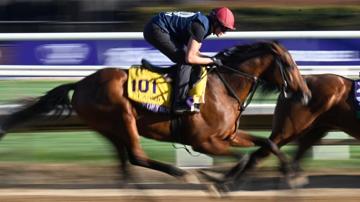 Belmont Oaks Invitational Stakes 2025: Expert Picks & Betting Odds Belmont Oaks Invitational Stakes 2025: Expert Picks & Betting Odds