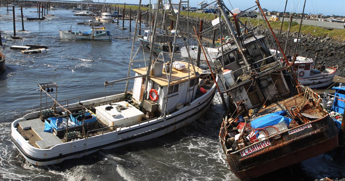 California Coastal Communities Face Tsunami Risk After Earthquake California Coastal Communities Face Tsunami Risk After Earthquake