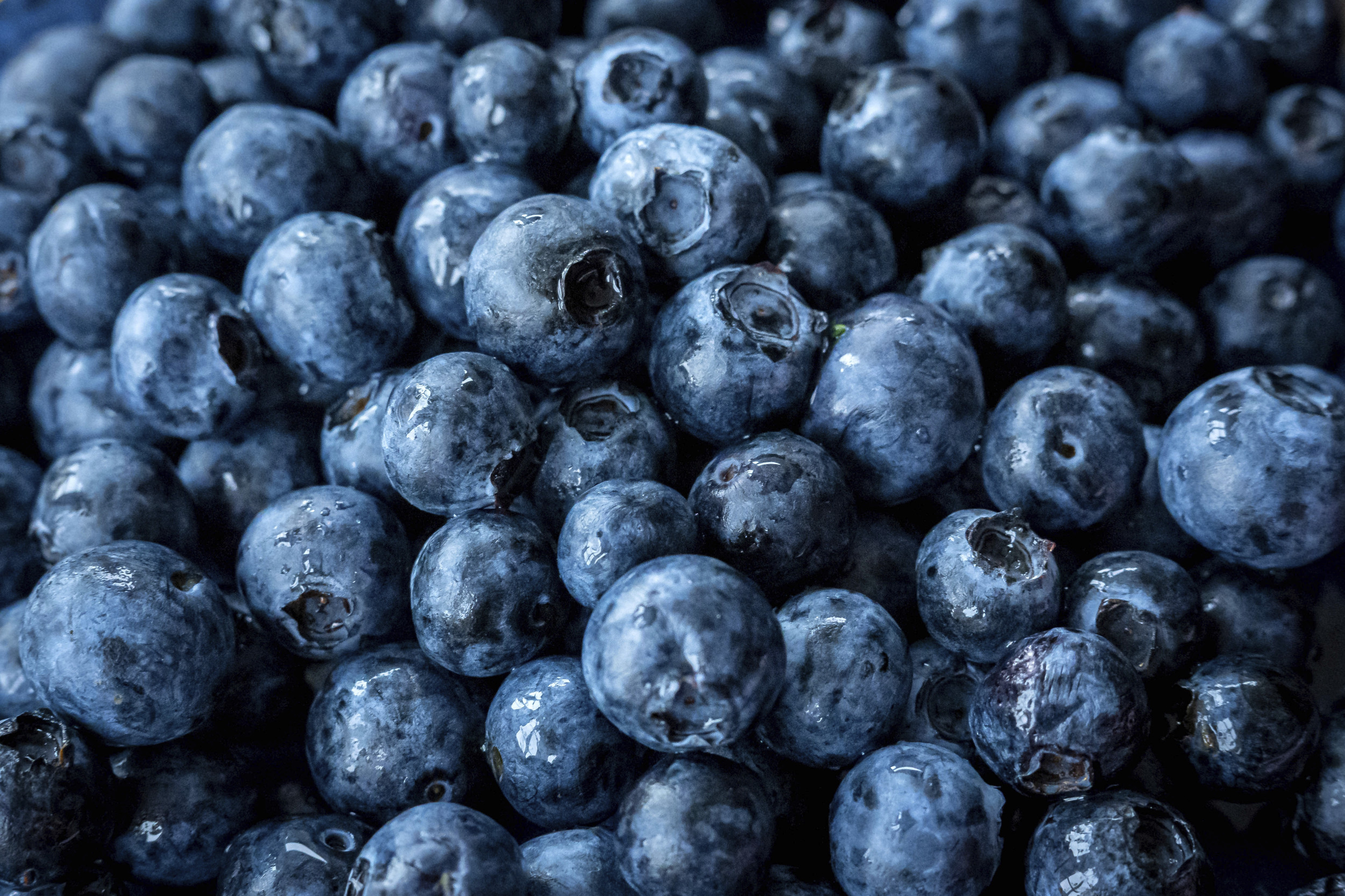 Check Your Freezer:  Serious Blueberry Recall Prompts FDA Action