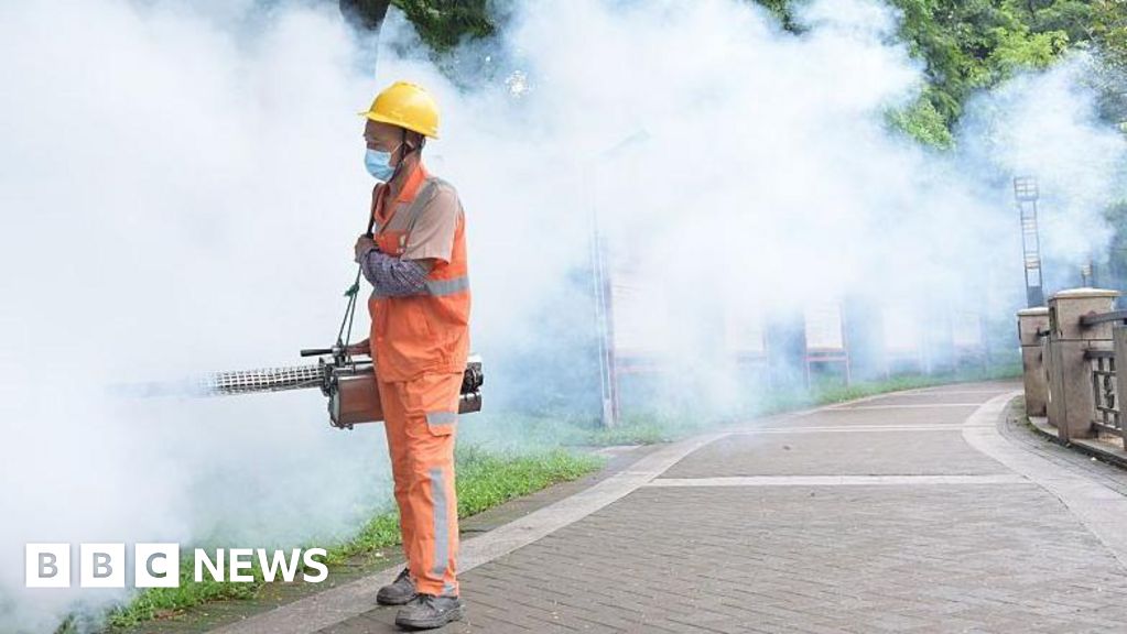 Chikungunya Virus Surge In China: Understanding The 7,000 Case Report Chikungunya Virus Surge In China: Understanding The 7,000 Case Report