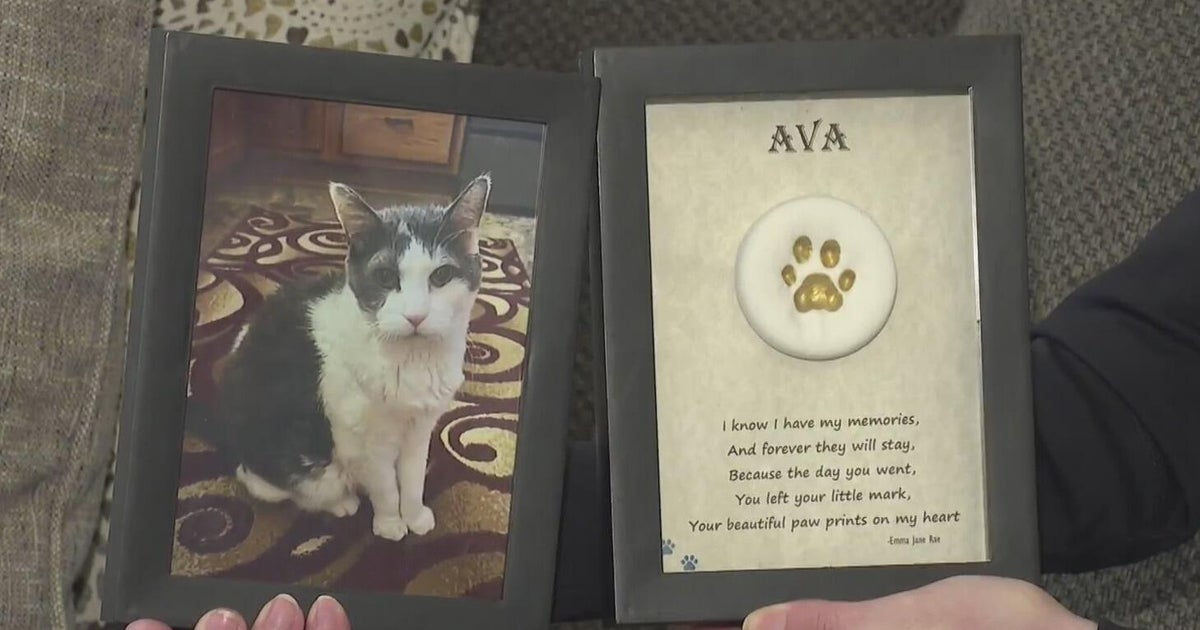 Community Mourns Pets In Cremains Mishandling Scandal Community Mourns Pets In Cremains Mishandling Scandal