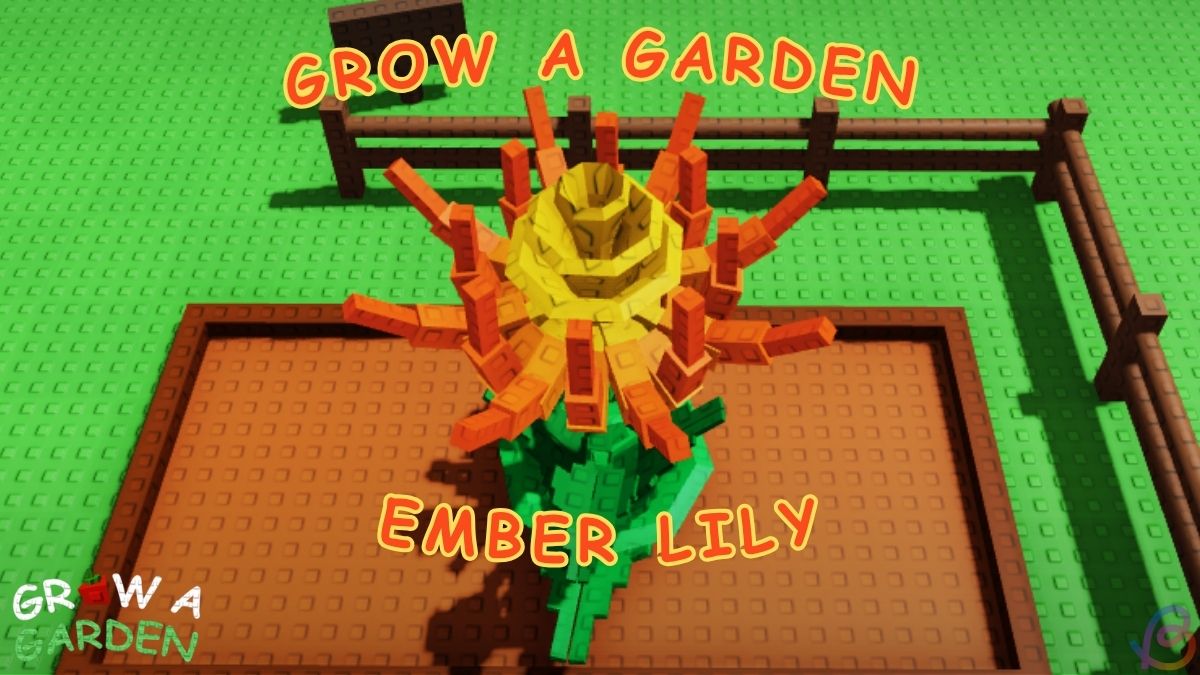 Finding Ember Lily Seeds In Grow A Garden Finding Ember Lily Seeds In Grow A Garden