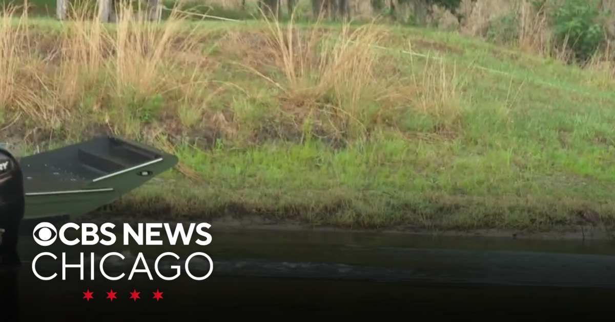 Florida Woman Killed In Alligator Incident: Details Emerge
