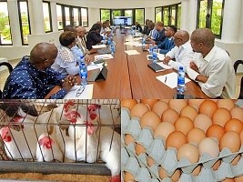 Haiti: Key Stakeholders Convene To Discuss Poultry Sector Growth Haiti: Key Stakeholders Convene To Discuss Poultry Sector Growth