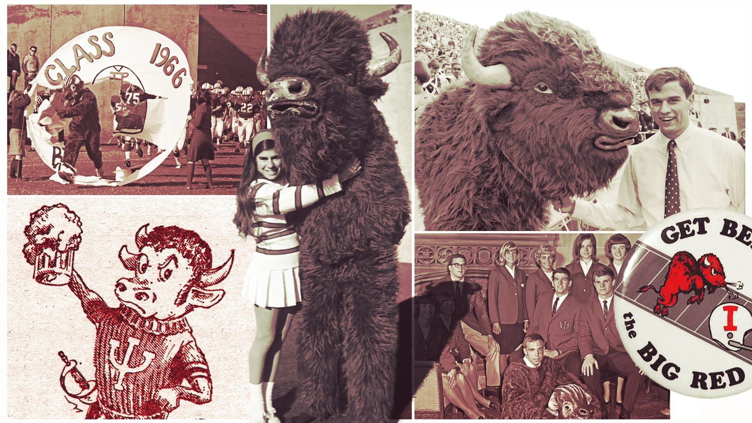Indiana University's Bison Mascot: How A Symbol Was Lost, Remembered, And Reimagined Indiana University's Bison Mascot: How A Symbol Was Lost, Remembered, And Reimagined