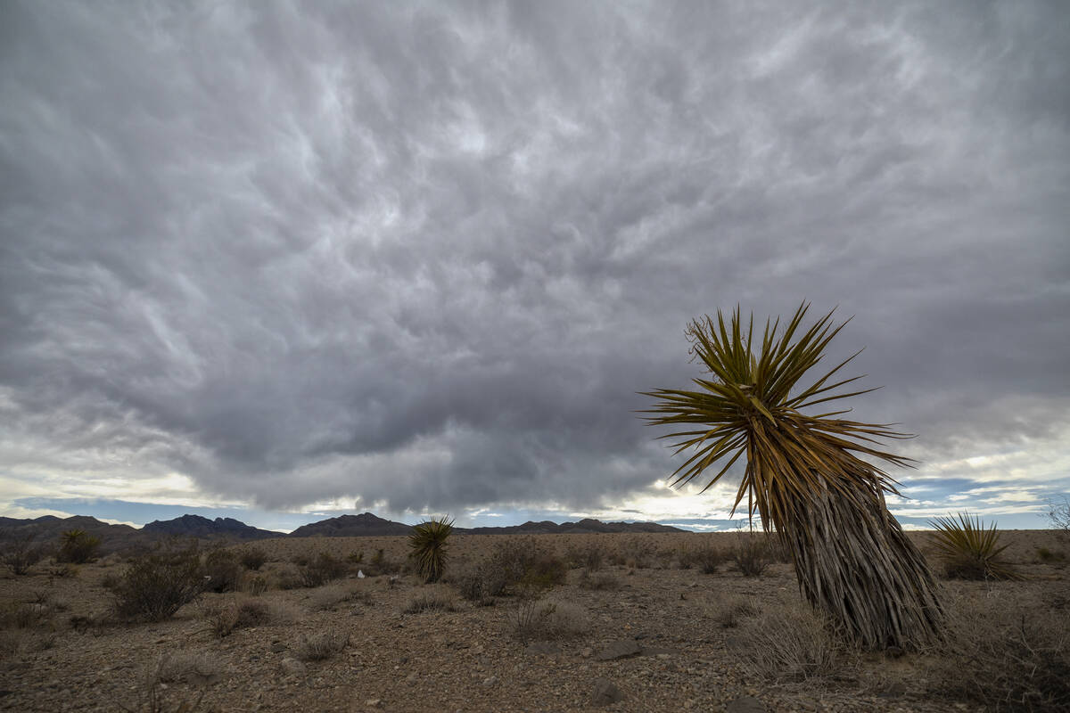 Late-Season Monsoon Storms Target Las Vegas Valley In Early September Late-Season Monsoon Storms Target Las Vegas Valley In Early September