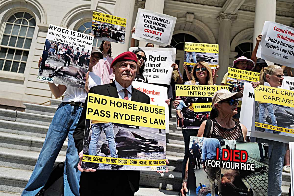 Legal Battle Brewing: Transport Workers Union Takes On Curtis Sliwa Over Horse Abuse Remarks Legal Battle Brewing: Transport Workers Union Takes On Curtis Sliwa Over Horse Abuse Remarks