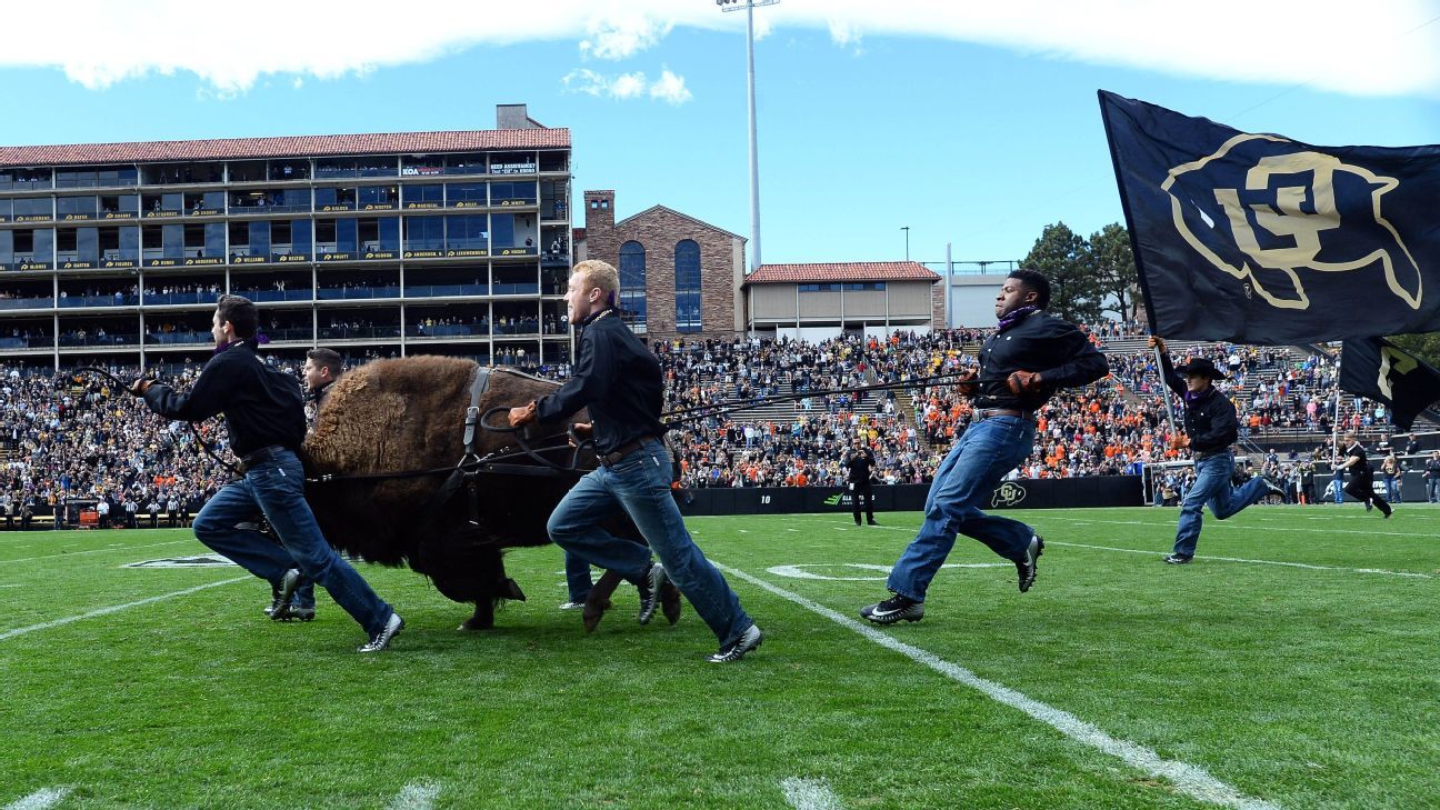 Live Buffalo Mascot Debuts: Colorado Vs. Wyoming Game Highlights On ESPN Live Buffalo Mascot Debuts: Colorado Vs. Wyoming Game Highlights On ESPN