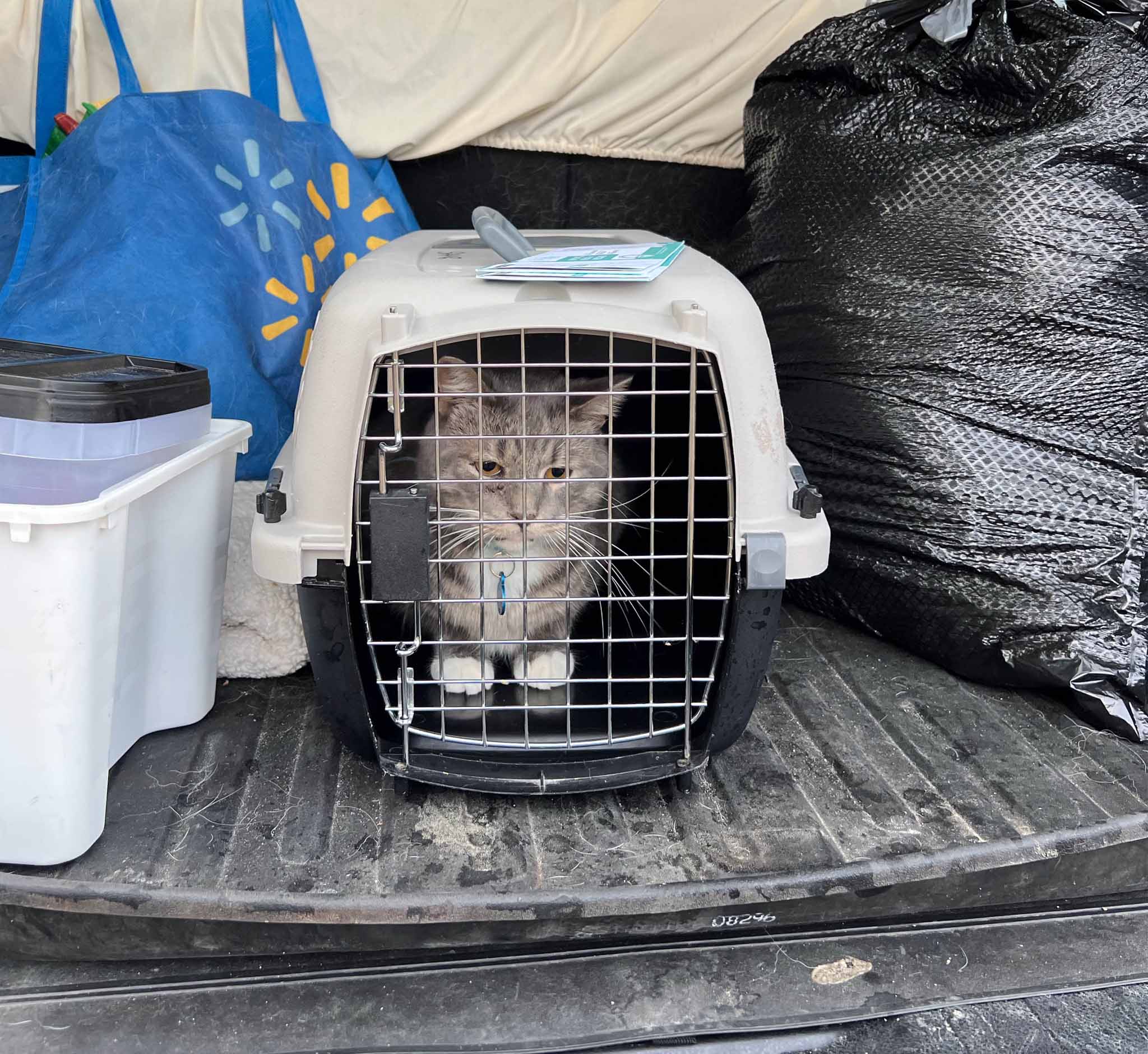 Manitoba Flood Emergency: Overnight Deluge Leaves Communities Devastated Manitoba Flood Emergency: Overnight Deluge Leaves Communities Devastated