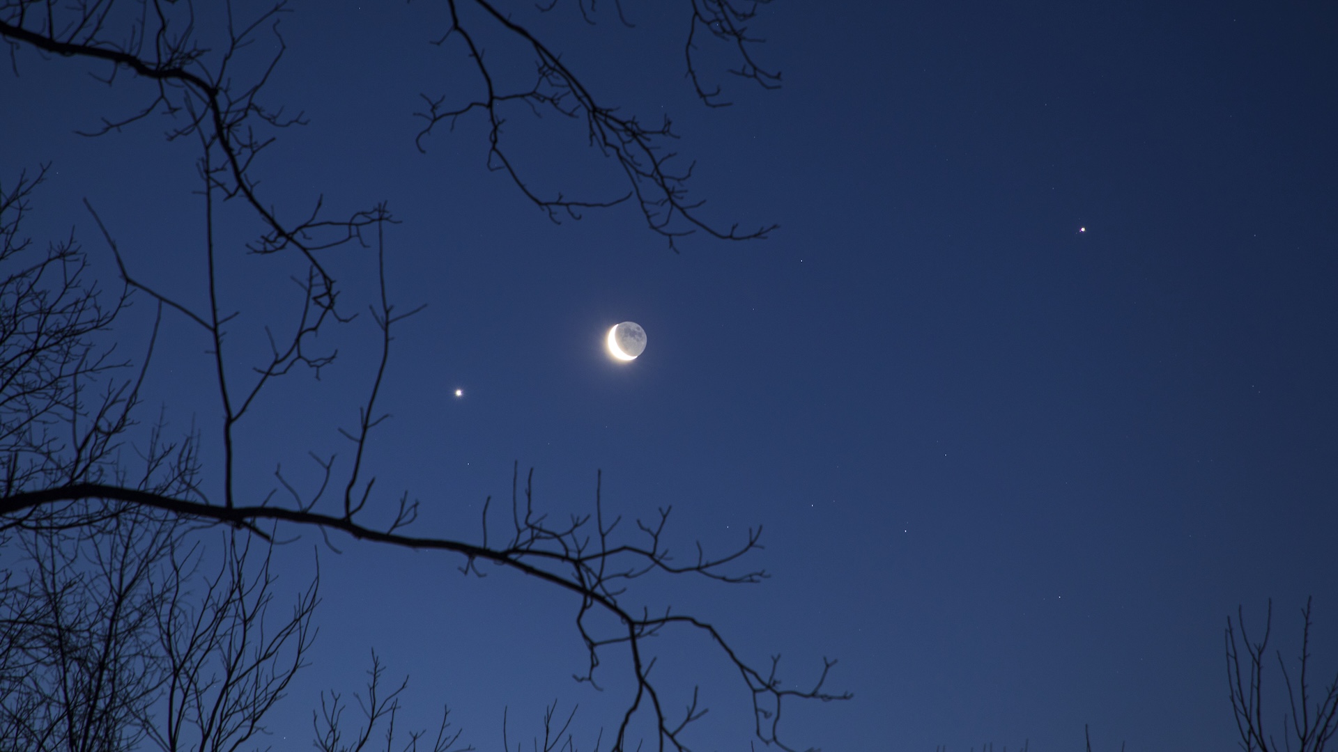 Moon, Venus, And Regulus In Ultraclose Conjunction: How To Observe Tomorrow
