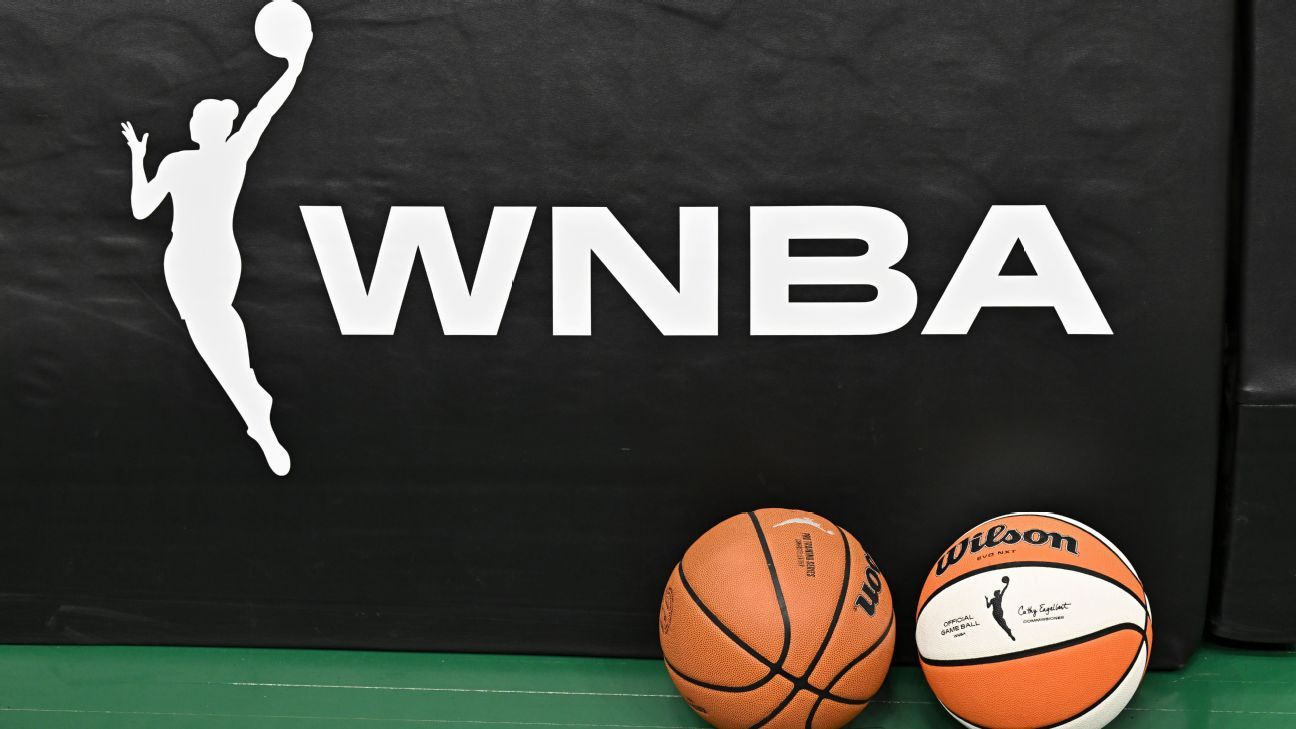 Multiple Charges For WNBA Fan Following On-Court Sex Toy Incident Multiple Charges For WNBA Fan Following On-Court Sex Toy Incident