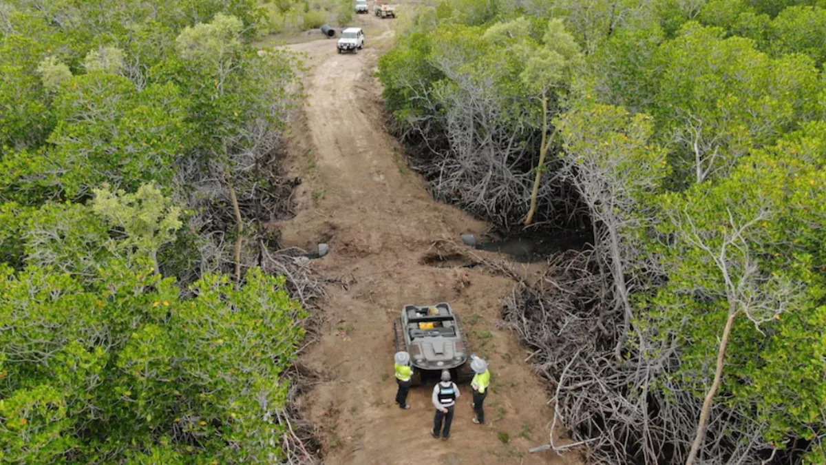 National Park Damage: Driver Faces Penalties For Mile-Long Driveway National Park Damage: Driver Faces Penalties For Mile-Long Driveway