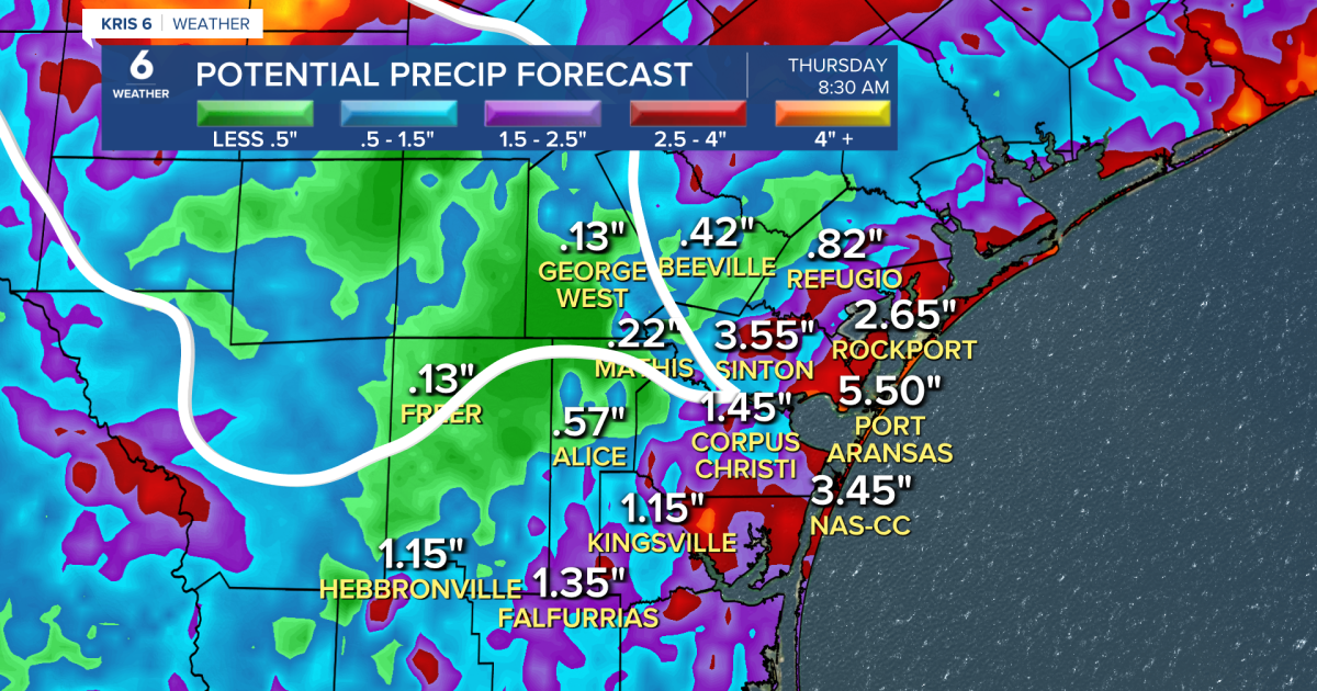 Potential For Significant Rainfall: Abundant Gulf Moisture And Weather Disturbances
