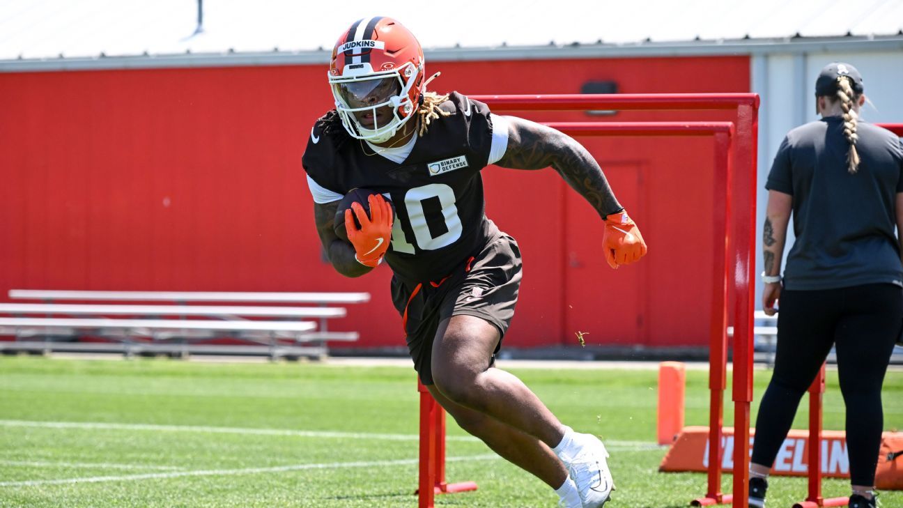 Quinshon Judkins Domestic Violence Arrest: Details And Reaction Quinshon Judkins Domestic Violence Arrest: Details And Reaction