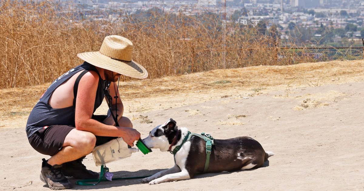 Record-Breaking Heat Wave Expected: Southwest Faces Days Of 110-Degree Temperatures