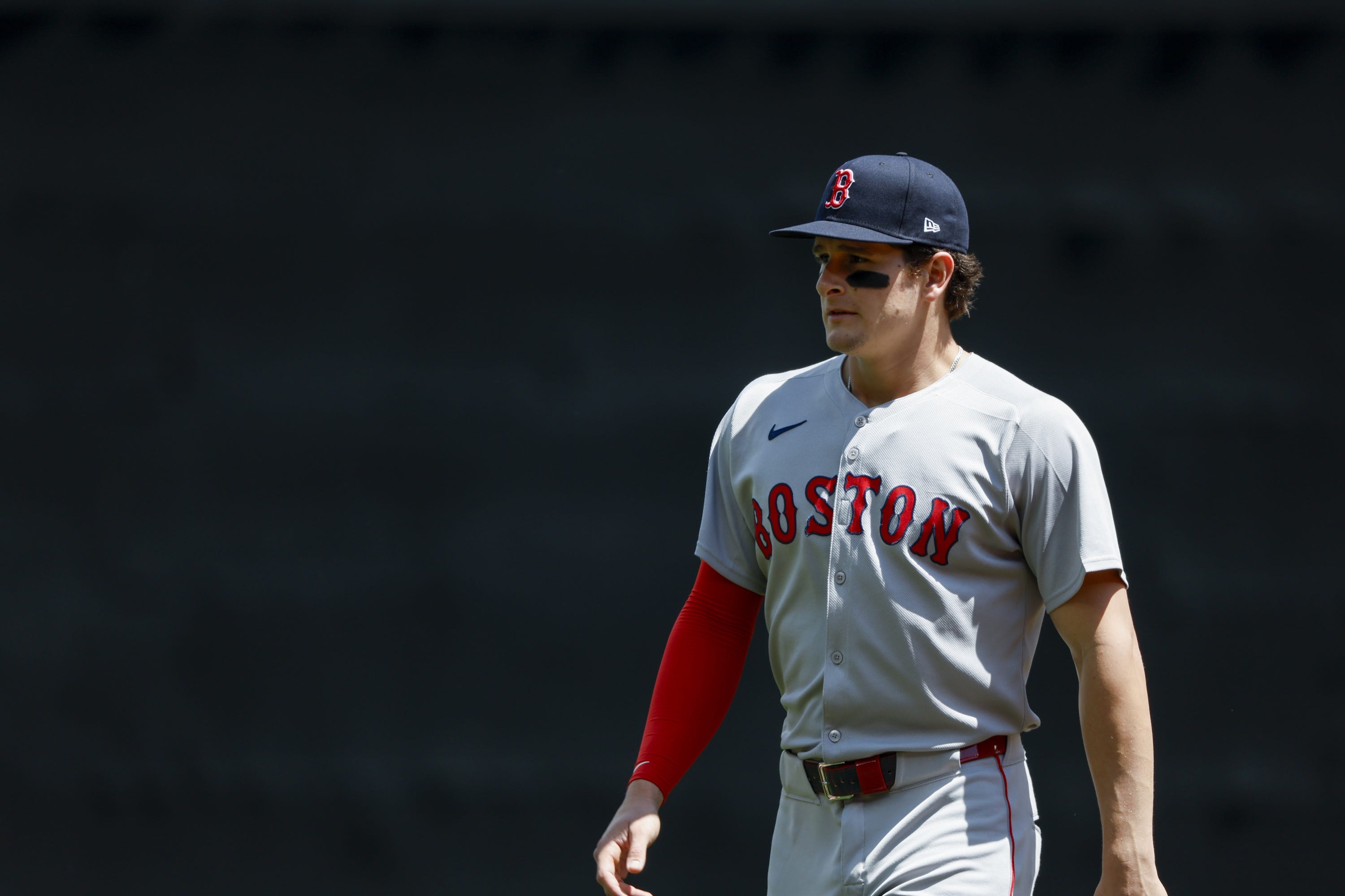 Roman Anthony: The Next James Wood? A Comparative Analysis