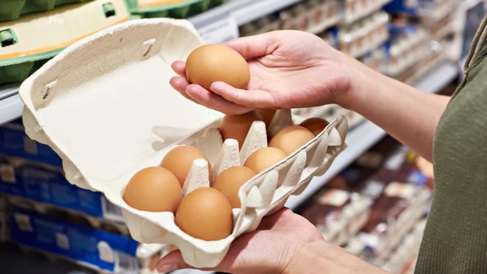 Sunshine Yolk Eggs Recalled Due To Salmonella Contamination: CDC Announcement Sunshine Yolk Eggs Recalled Due To Salmonella Contamination: CDC Announcement