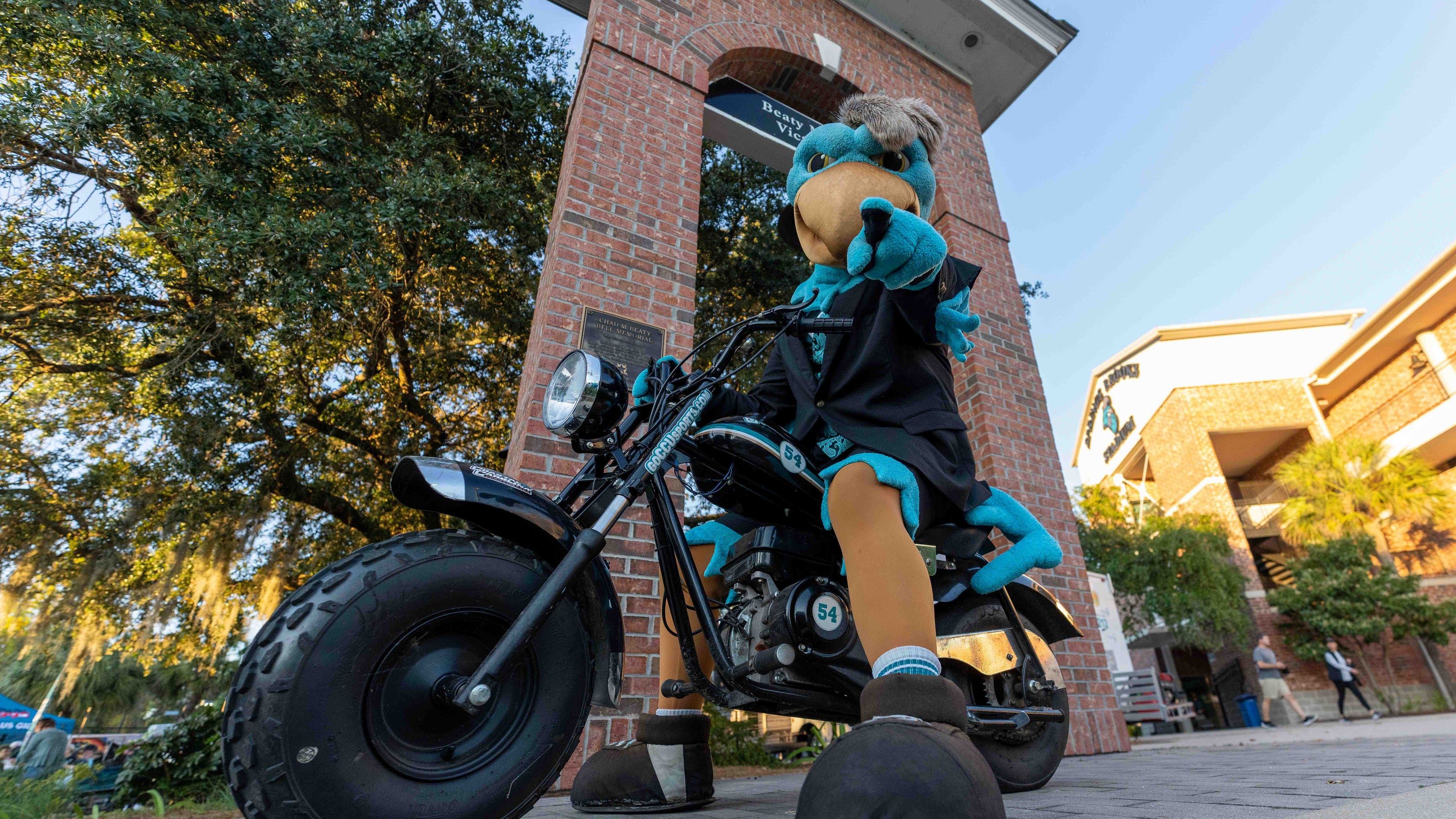 Understanding The Chanticleer: Coastal Carolina's Unique Mascot Understanding The Chanticleer: Coastal Carolina's Unique Mascot