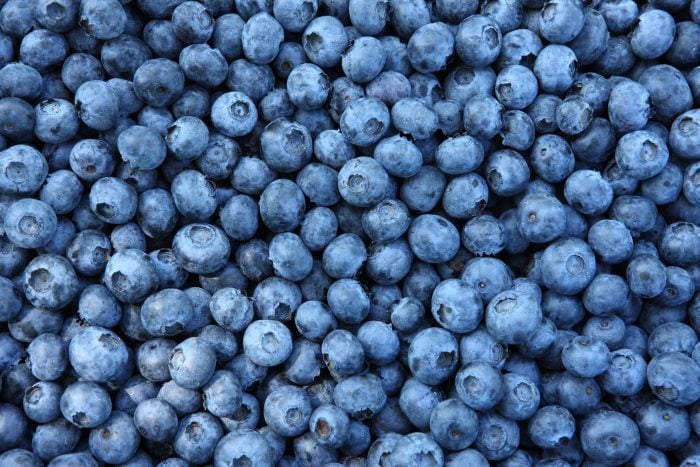 Urgent Recall: 12,000 Pounds Of Berries Pose Serious Health Risk In [State Name]