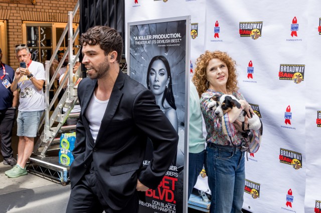 Video: Sunset Boulevard's Video: Sunset Boulevard's
